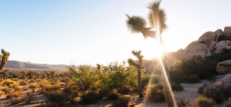 Room Refresh – Desert Chic