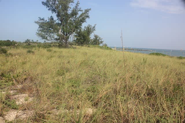 Powell Cay Private Island