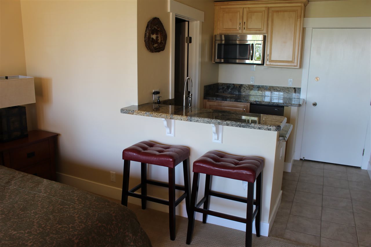 11591 Snowpeak Way, #303