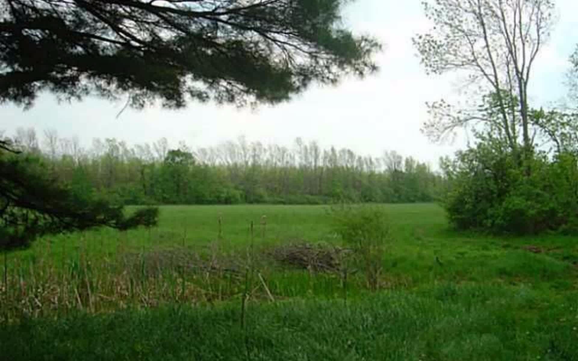 4930 West Ridge Rd.