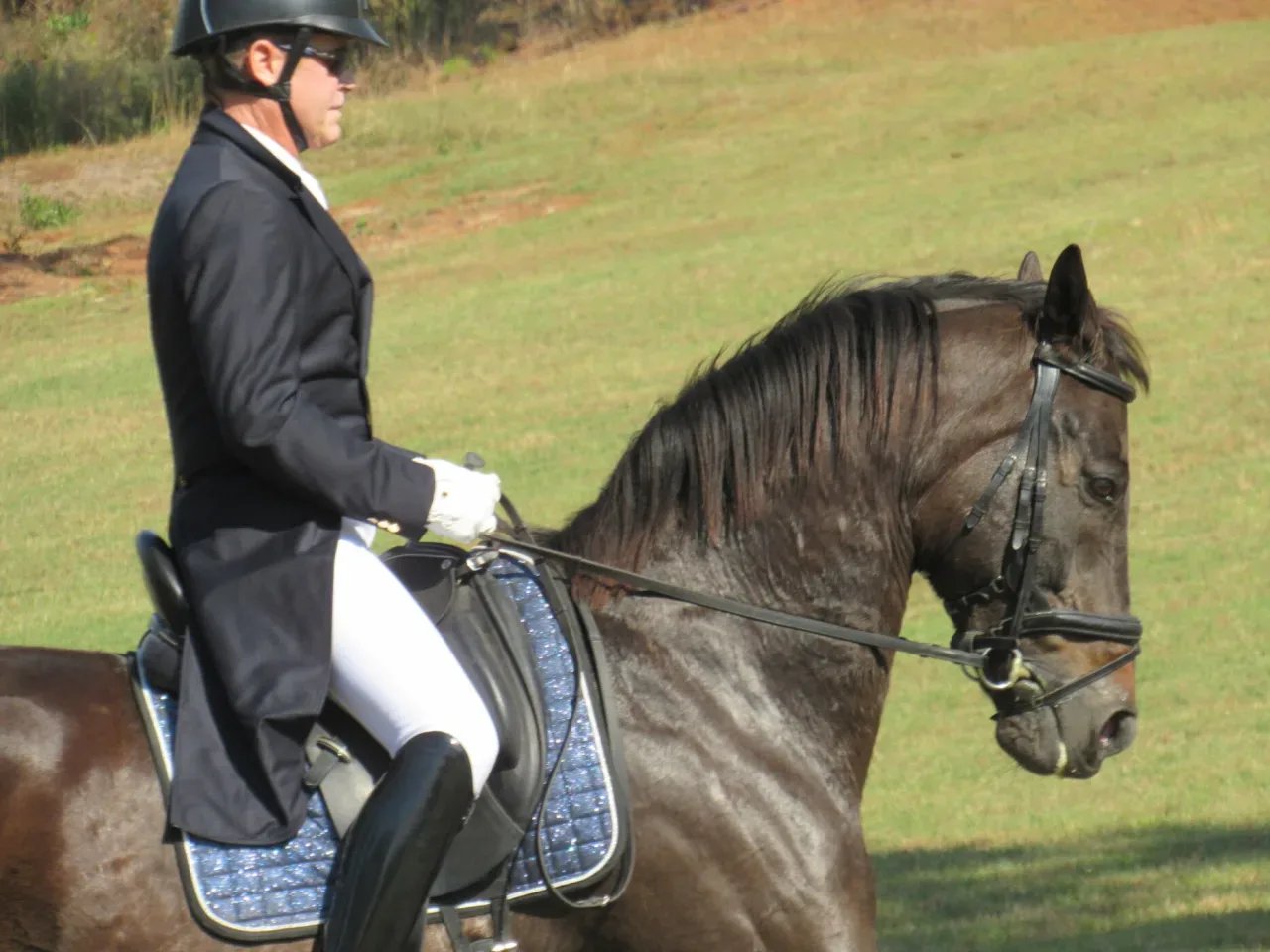 Focused equestrian in formal attire riding on estate grounds, showcasing the elegance of country living.