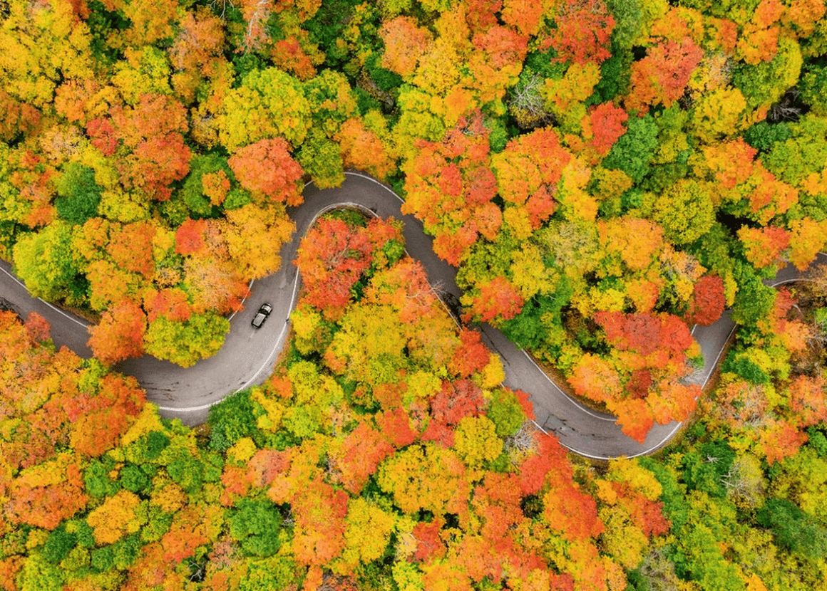 5 Best Places to See Fall Foliage in New England