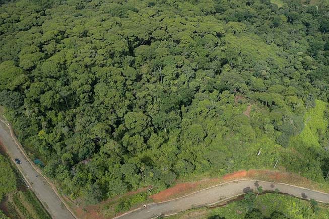 Farm In Chontales, 47 Acres With Ocean View And River