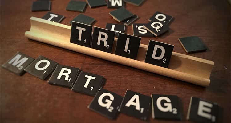 What is TRID?