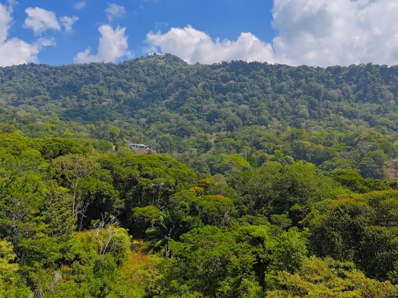 Amazing lot between Uvita and Dominical close to the Ocean