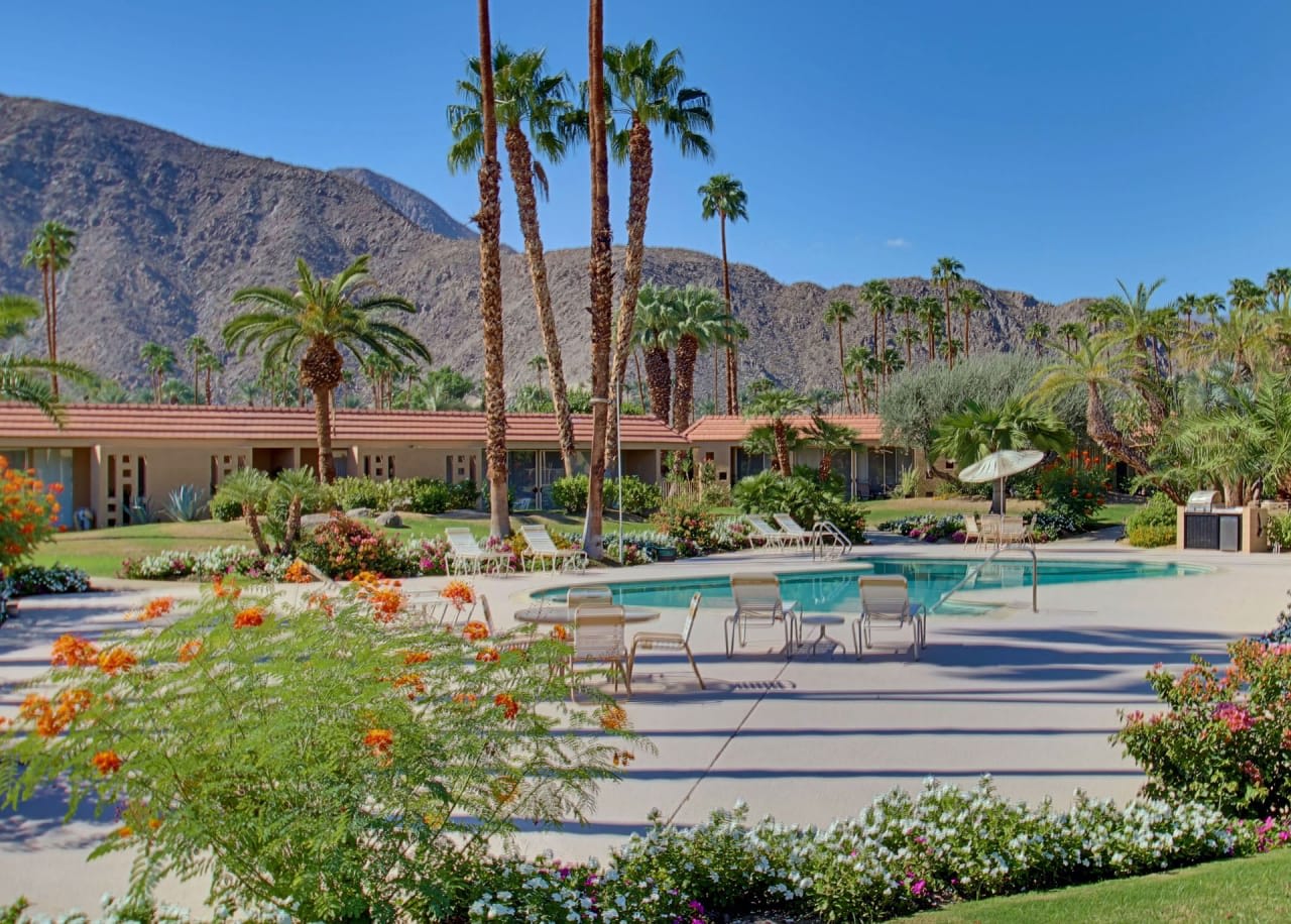 a swimming pool surrounded by palm trees and colorful flowers