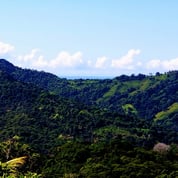 Zen Japanese Tropical Home, Dominical, Puntarenas