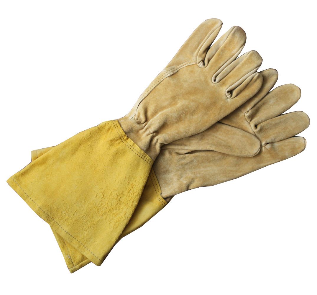 Gardening Gear