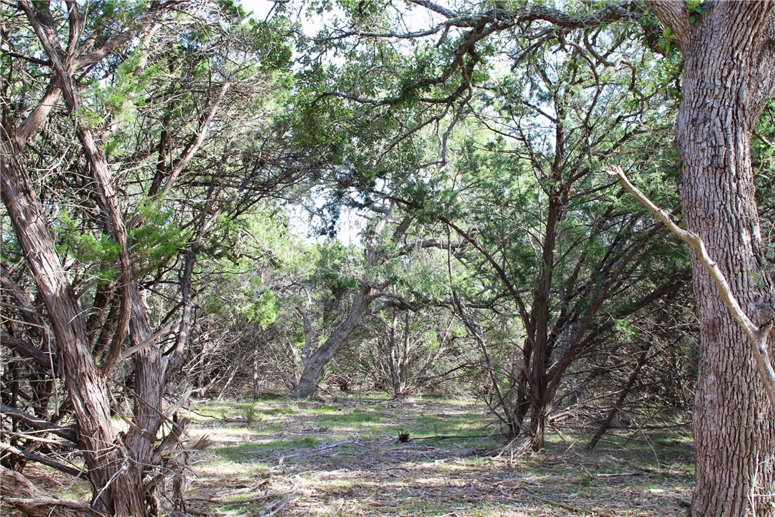 000 Sierra Loma