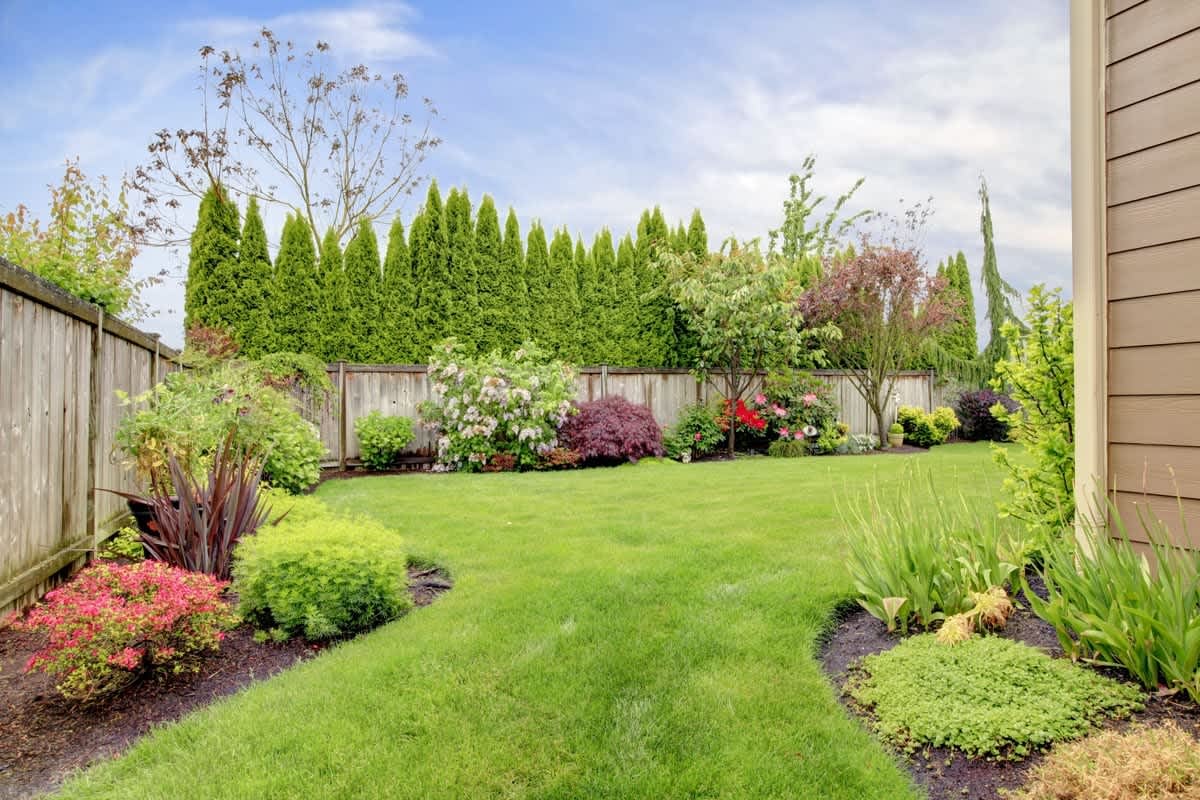 Ask A Nester: Planting Green Ideas