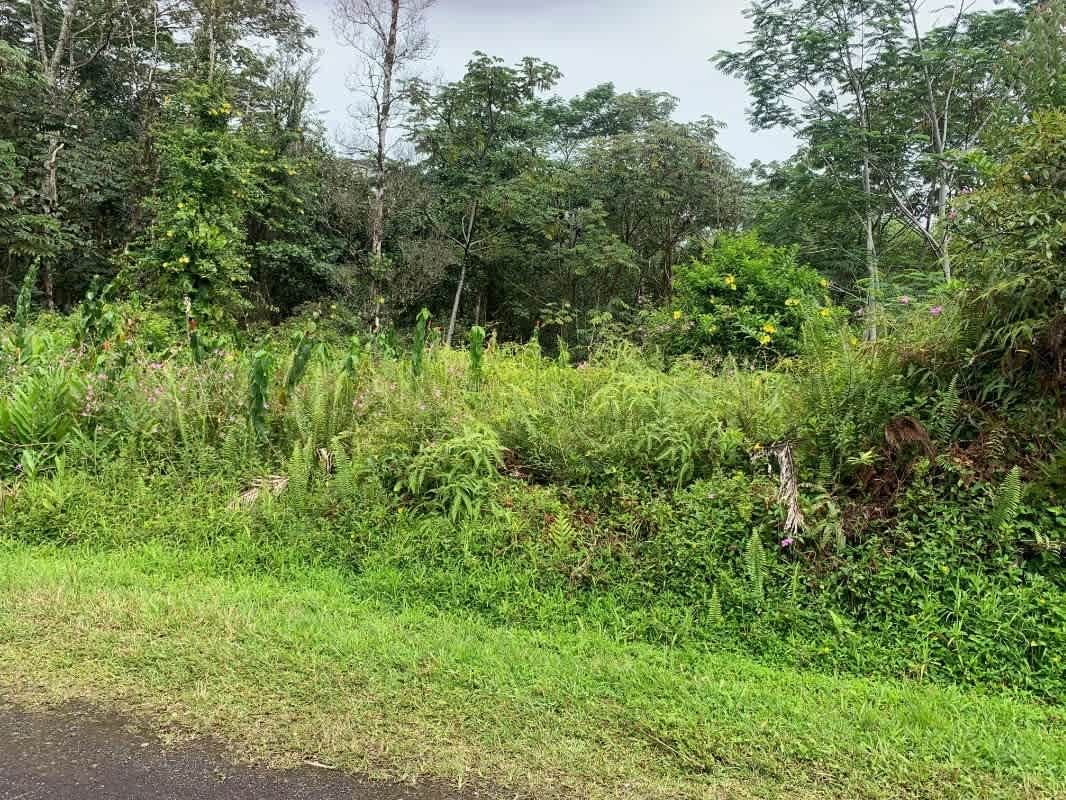 Mayzee Rd, Pahoa, HI 96778