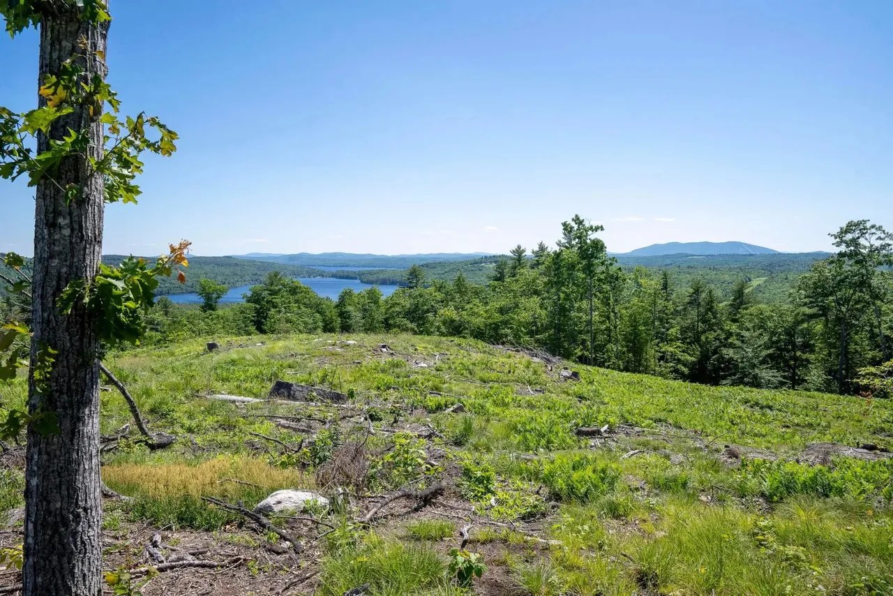 New Listing! Lot 57 Deer Hill Run Harrison, ME 04040 $599,000