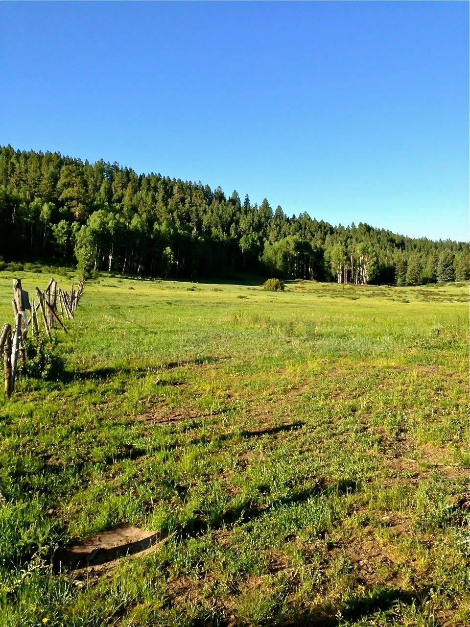 Southern Colorado Riverfront Mountain Ranch