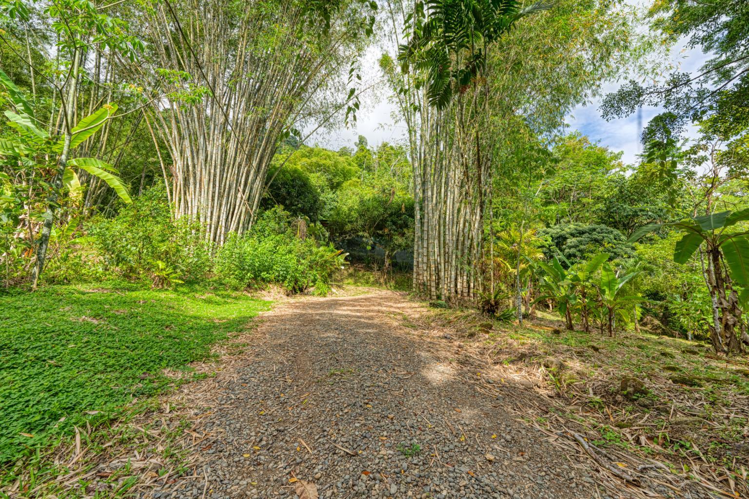 Exceptional Retreat Center on 62 Acre in Tinamastes