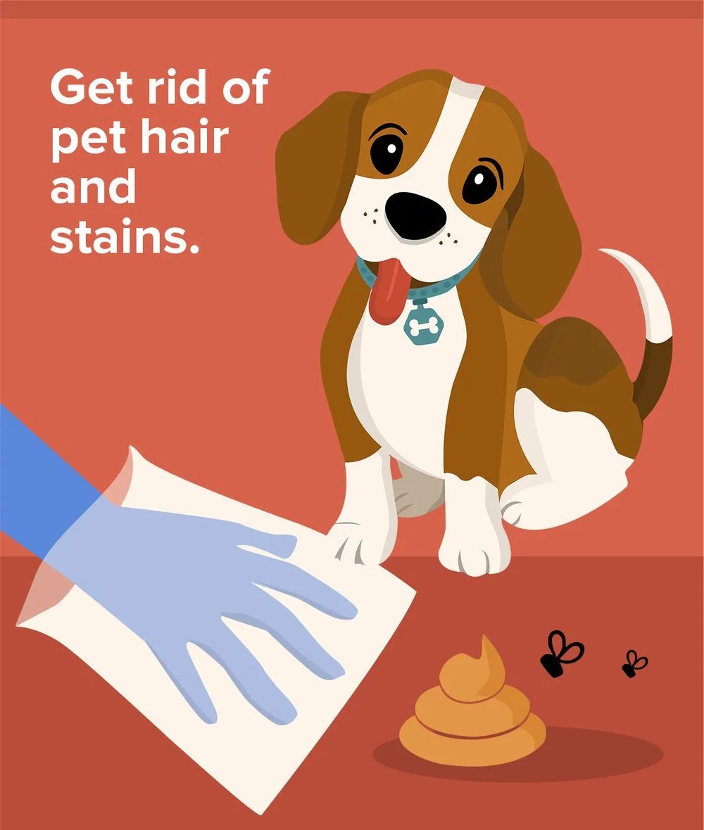 Get rid of pet hair and stains.
