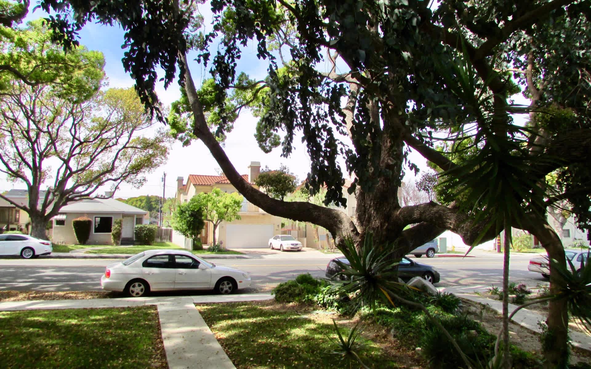 2416 Cabrillo Ave