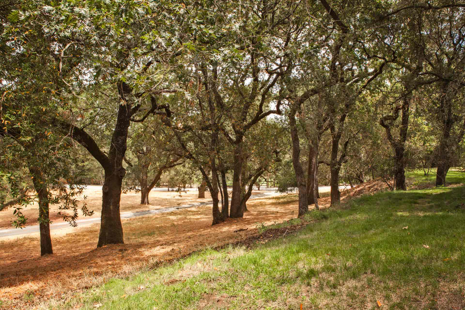 310 Family Farm Road