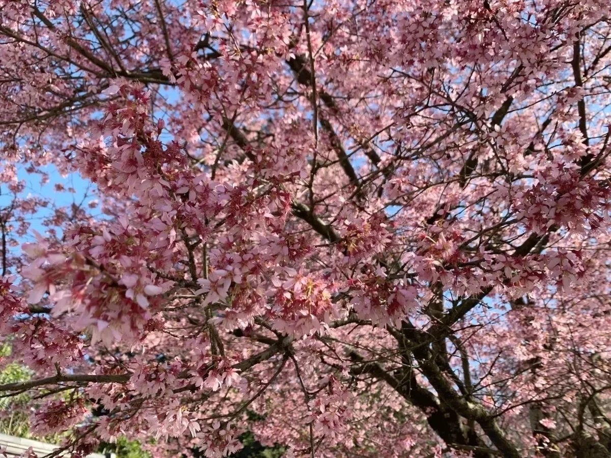 Cherry Hill, NJ