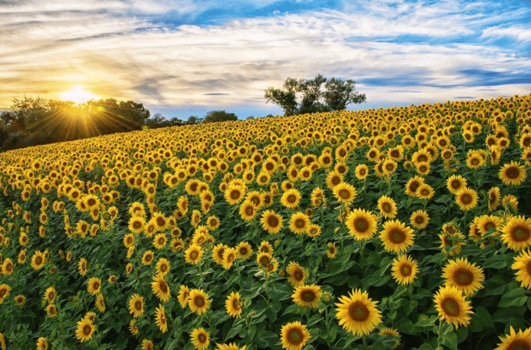 September Activities to Wrap up Summer 2023