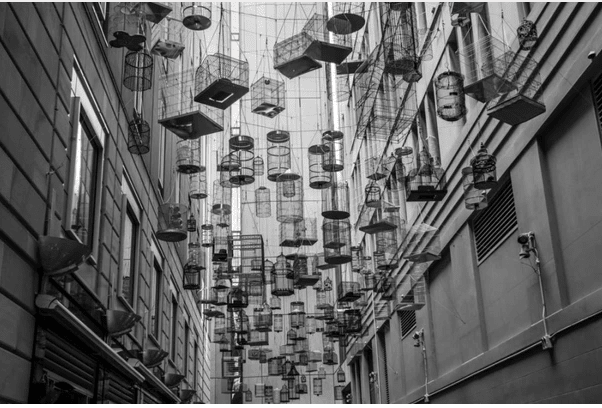 Mindful Monday - Is Free Will Free?