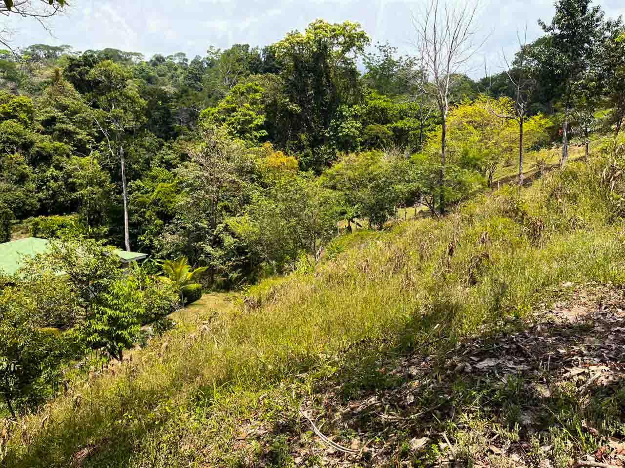 Lot Nestled In Charming Neighborhood With Stunning Mountain Views