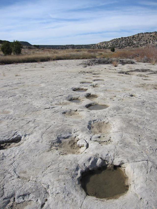 5 Places to see Dinosaur tracks around Colorado