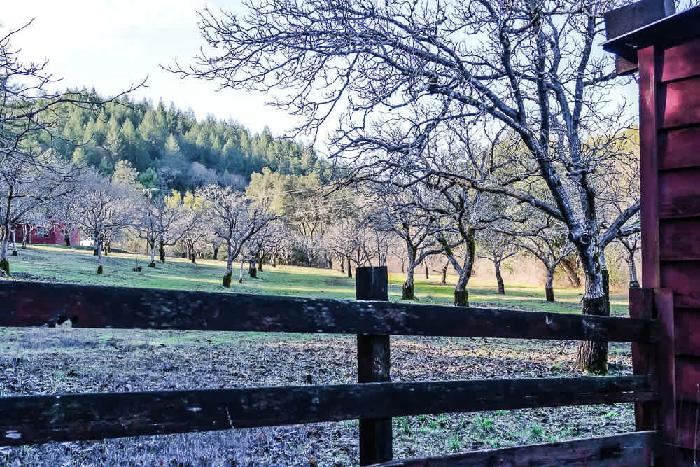 152+ Acre Mt. Veeder Compound - SOLD