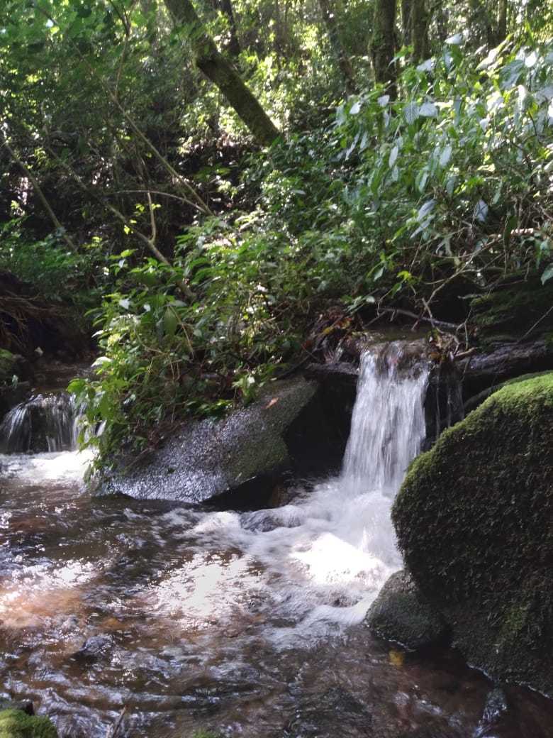 Vast Mountain Farm Acreage, Heredia