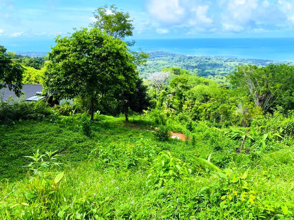 Gorgeous 1.43 Acres in Uvita Costa Rica Your Slice of Paradise Awaits