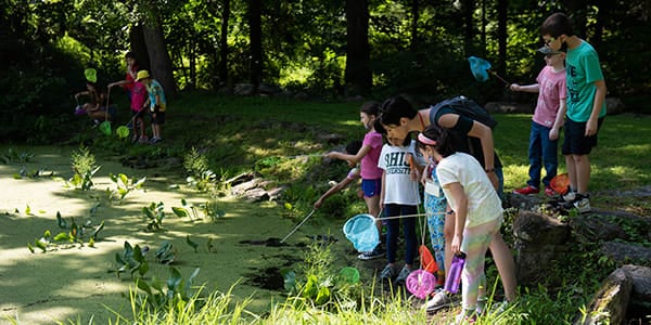 10 Popular Summer Camps in Westchester