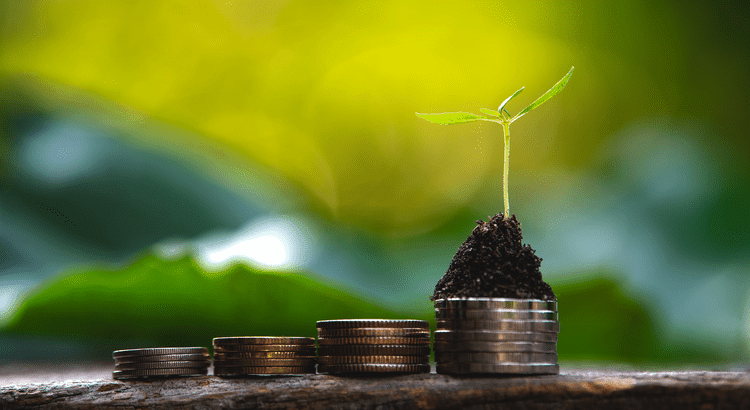 stacks of coins with a budding plant growing from the largest stack