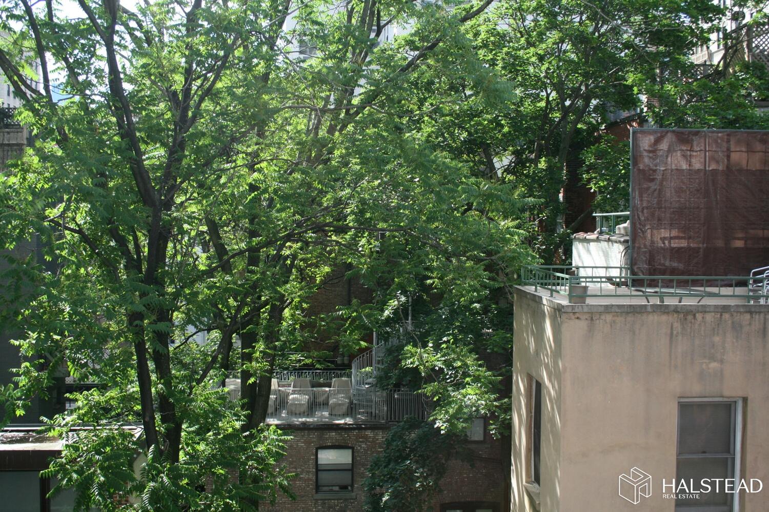 856 Lexington Ave, Unit 5