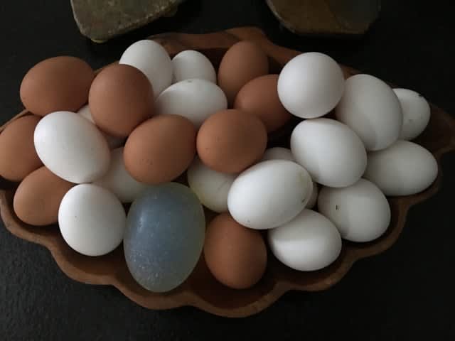 Self Sufficiency