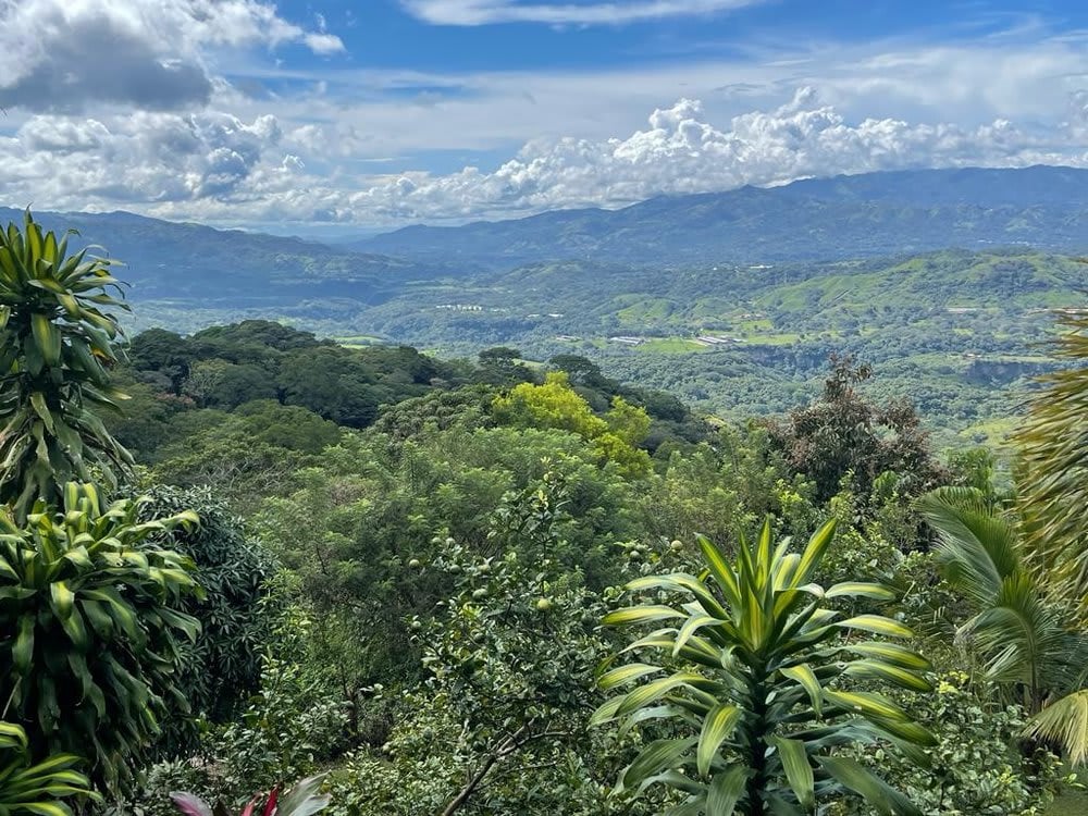 Natureza Viva