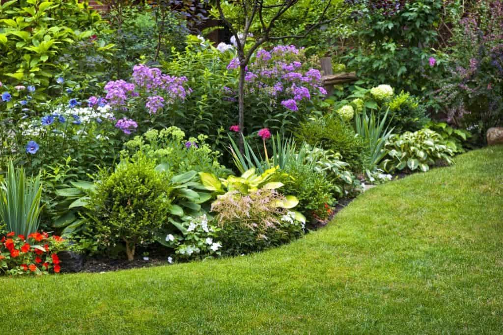 Unsure of Wetlands? 4 advantages 