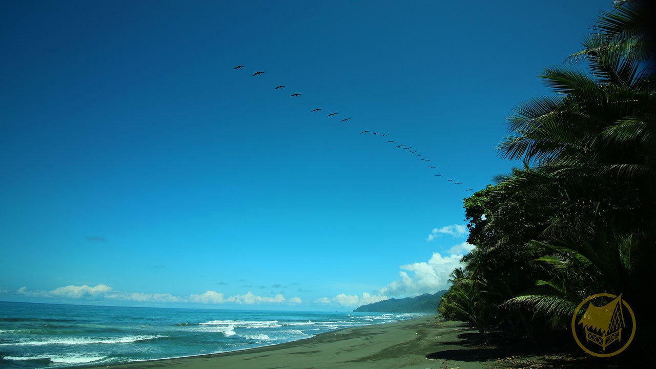 Sustainable Oceanfront Eco Lodge, Osa, Puntarenas