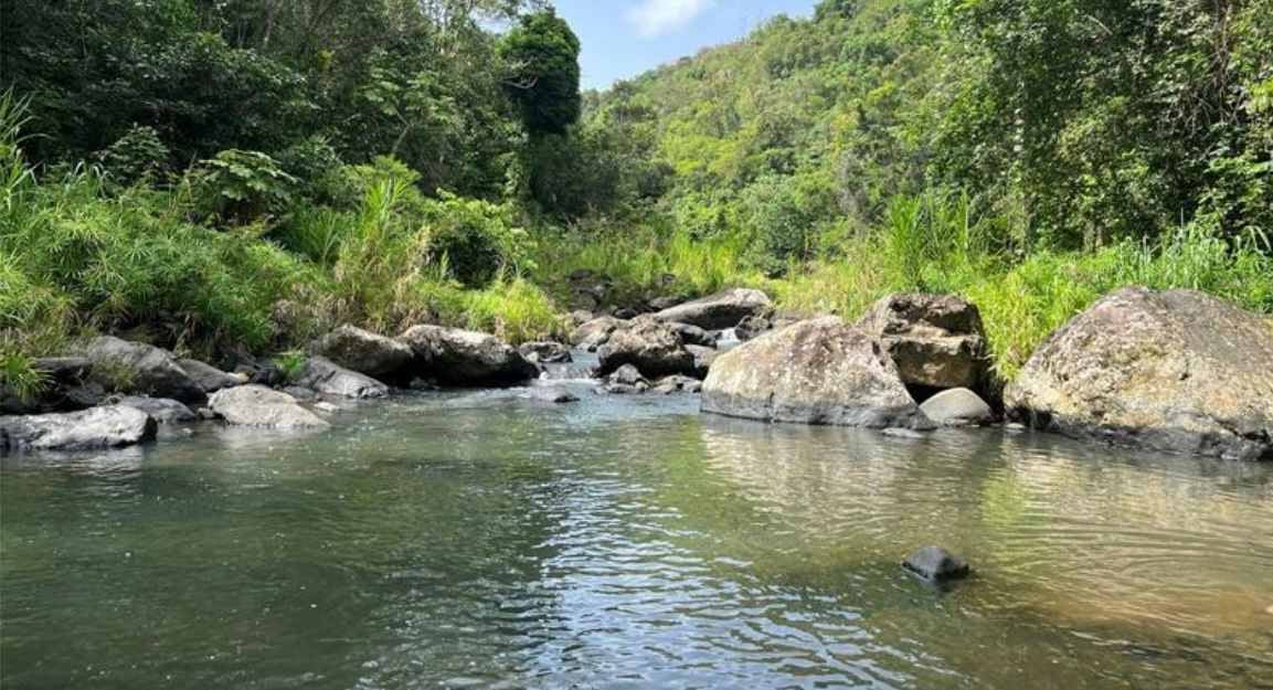 MonteCielo Riverfront Property