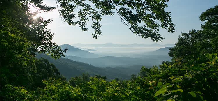 Bee’s Knees: Stuff We Dig!