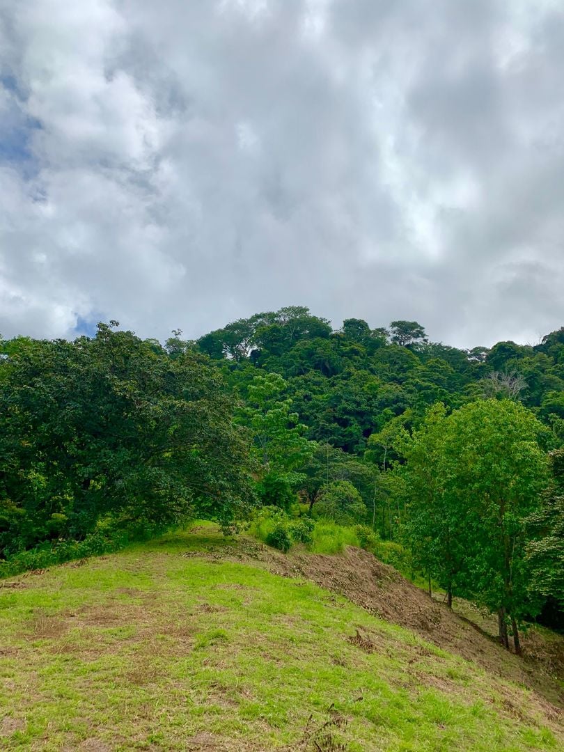 Triple Waterfall Ocean View Land, Dominical, Puntarenas