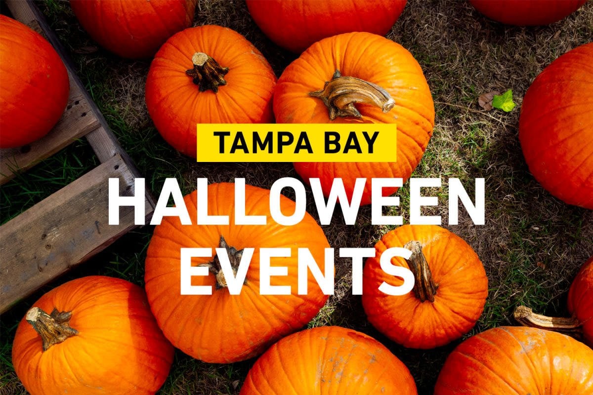 Spooktacular Halloween Events in Tampa Bay: Your Ultimate Guid