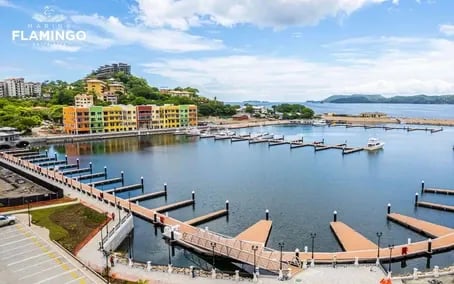 Marina Flamingo Update October 2022