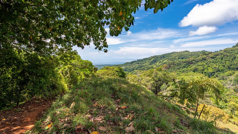 238 Acre Ocean View Property in Portalon with Waterfall