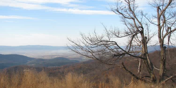 Local Love: The Appalachian Trail and Appalachian Trail Outfitters