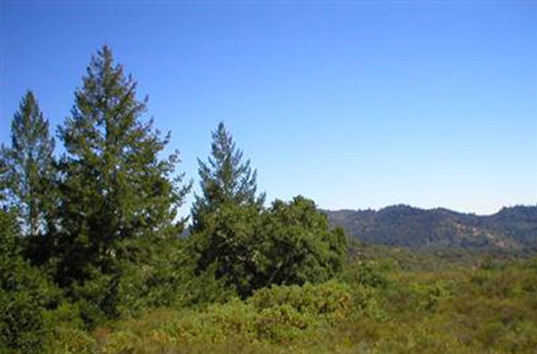 Sonoma Wine Country Building Site