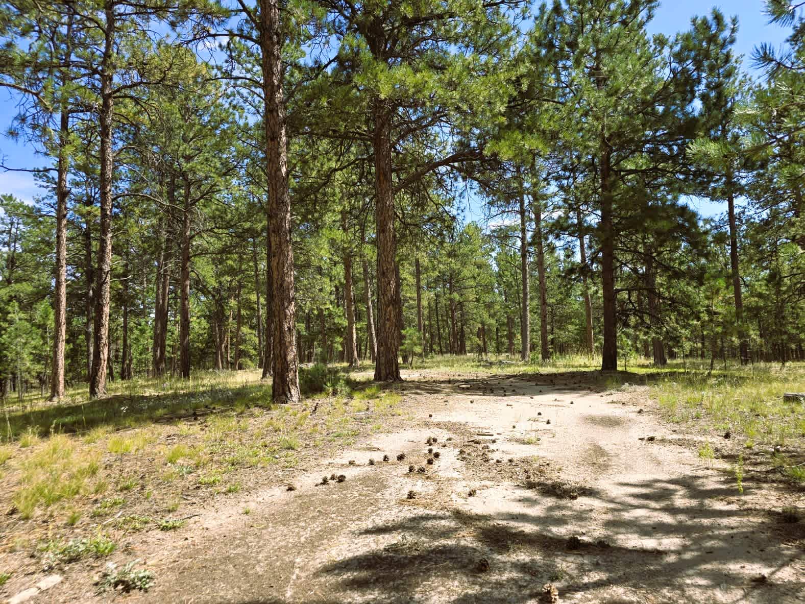 00 Meridian Road