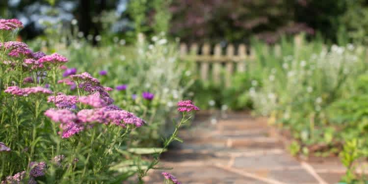 Landscaping Investment