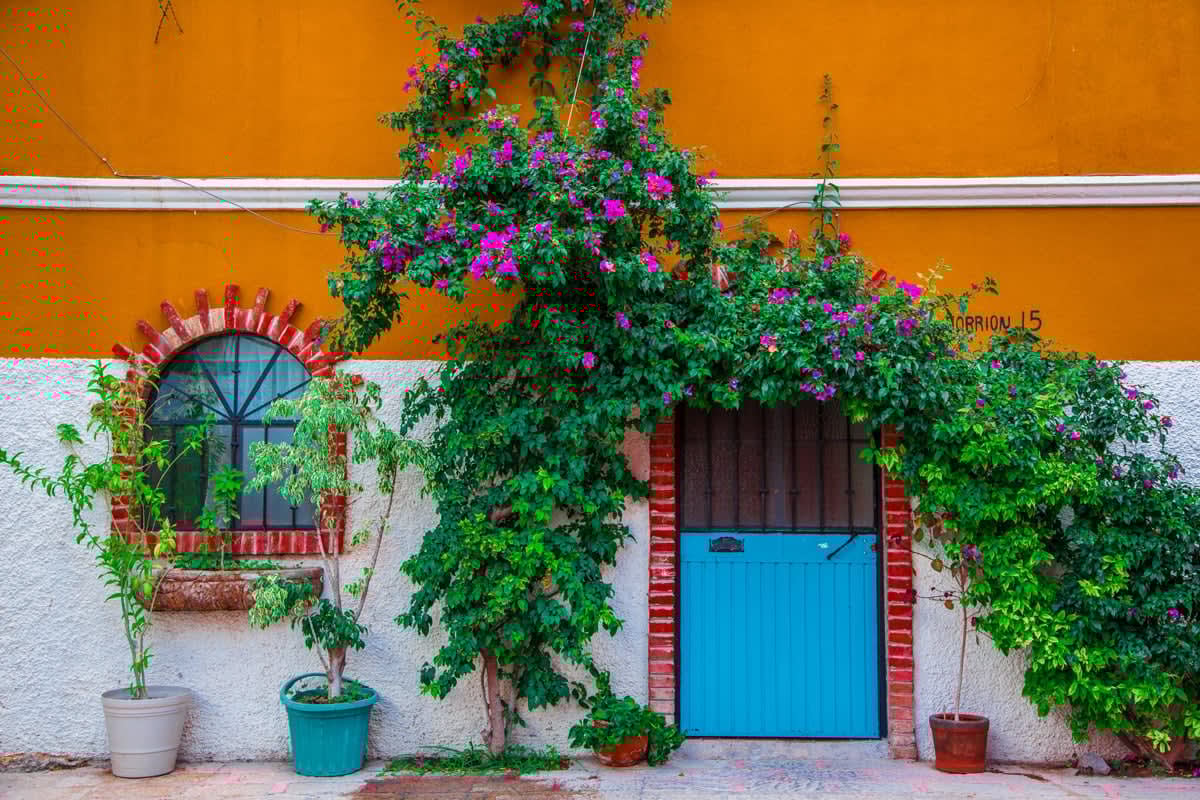 Ask A Nester: What Happens When You Look Up?