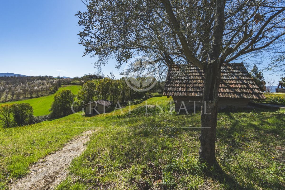 Podere Valsasso