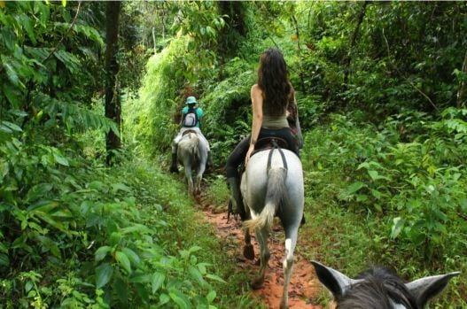 Triple Waterfall Ocean View Land, Dominical, Puntarenas