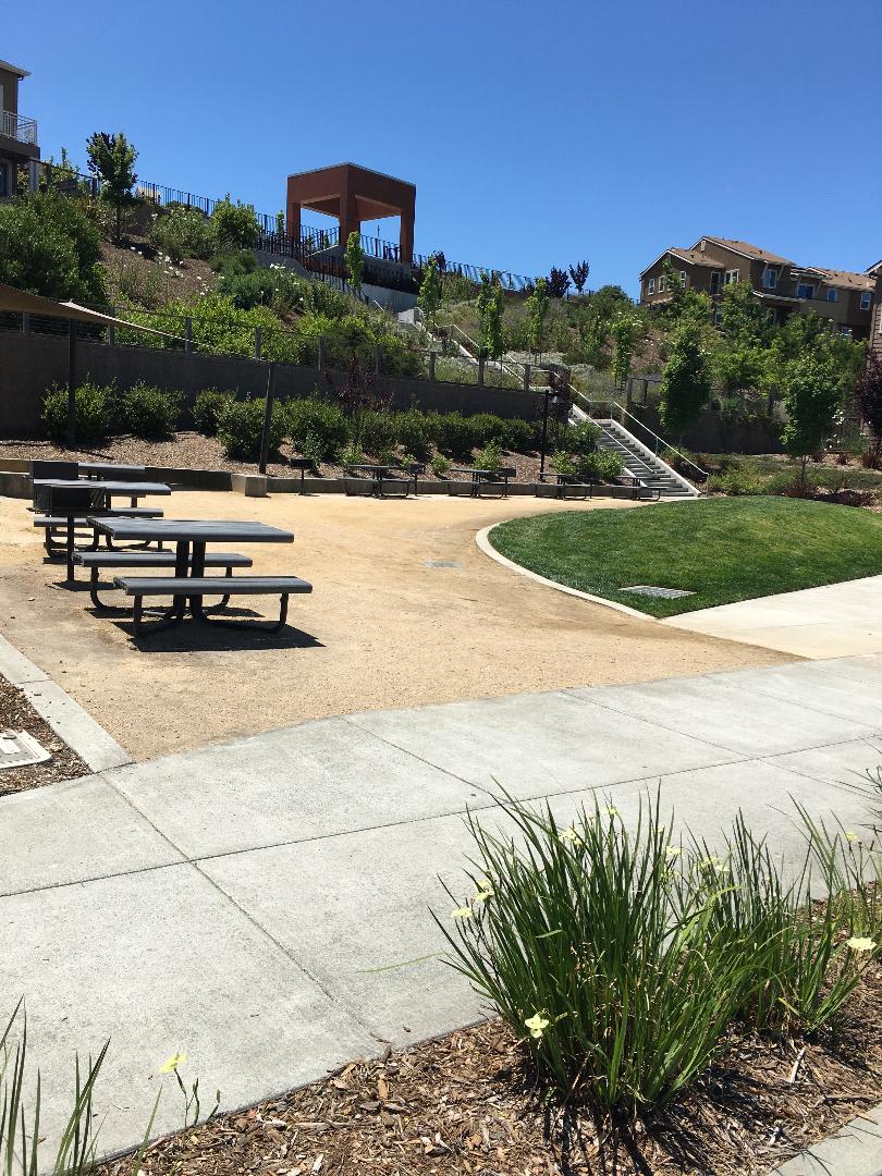 Petaluma River View Home in Quarry Heights- Represented Seller